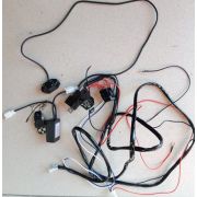 Комплект проводов подключения светодиодных люстр (Дальний - Ближний свет)  с двумя пультами