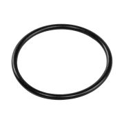 Кольцо iac клапана