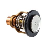 Термостат Suzuki DF350A (55C)