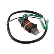 Катушка генератора Yamaha 40X/E40X (освещения), Recmar