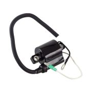 Катушка зажигания Yamaha 40X, Recmar