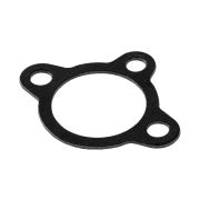 Прокладка крышки термостата Marine Rocket (F9.9-01.01.00.01)