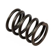 Пружина клапана Marine Rocket (F6-01.05.00.23)